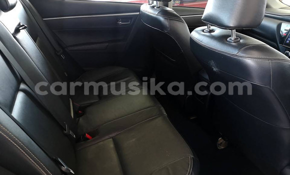 Tenga Tsaru Toyota Corolla Zvimwe Mota in Beitbridge in Matabeleland South Tenga Tsaru Toyota Corolla Zvimwe Mota in Beitbridge in Matabeleland South