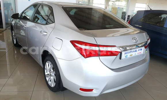 Tenga Tsaru Toyota Corolla Zvimwe Mota in Beitbridge in Matabeleland South Tenga Tsaru Toyota Corolla Zvimwe Mota in Beitbridge in Matabeleland South