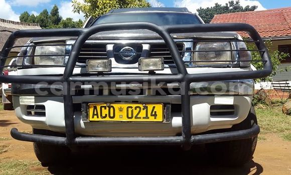 Nunua Ilio tumika Nissan Hardbody Nyeupe Gari ndani ya Alexandra Park nchini Harare