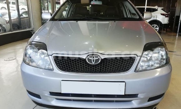 Acheter Occasion Voiture Toyota Runx Gris à Beitbridge, Matabeleland South Acheter Occasion Voiture Toyota Runx Gris à Beitbridge, Matabeleland South