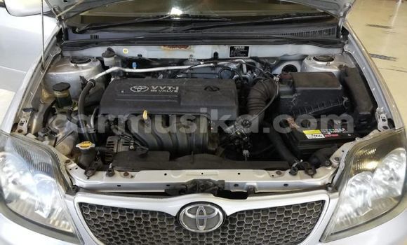 Tenga Tsaru Toyota Runx Sirivha Mota in Beitbridge in Matabeleland South Tenga Tsaru Toyota Runx Sirivha Mota in Beitbridge in Matabeleland South