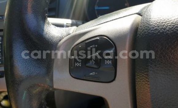 Tenga Tsaru Ford Ranger Chena Mota in Beitbridge in Matabeleland South Tenga Tsaru Ford Ranger Chena Mota in Beitbridge in Matabeleland South