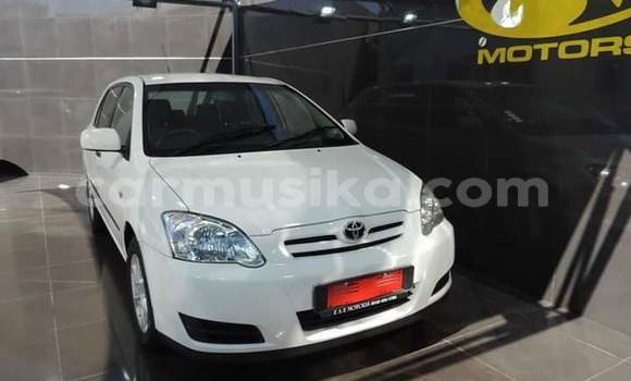 Buy Used Toyota Corolla White Car in Beitbridge in Matabeleland South Buy Used Toyota Corolla White Car in Beitbridge in Matabeleland South