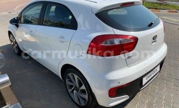 Buy Used Kia Rio White Car in Beitbridge in Matabeleland South