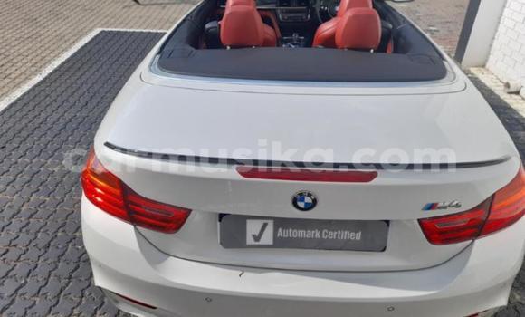 Buy Used BMW M4 White Car in Beitbridge in Matabeleland South Buy Used BMW M4 White Car in Beitbridge in Matabeleland South