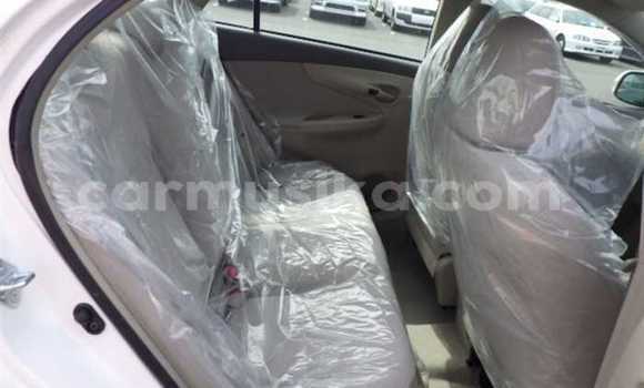 Nunua Ilio tumika Toyota Axio Nyeupe Gari ndani ya Beitbridge nchini Matabeleland Kusini Nunua Ilio tumika Toyota Axio Nyeupe Gari ndani ya Beitbridge nchini Matabeleland Kusini