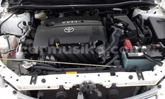 Nunua Ilio tumika Toyota Axio Nyeupe Gari ndani ya Beitbridge nchini Matabeleland Kusini Nunua Ilio tumika Toyota Axio Nyeupe Gari ndani ya Beitbridge nchini Matabeleland Kusini