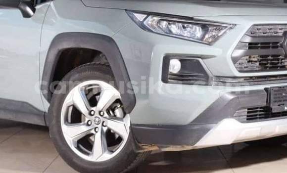 Buy Used Toyota RAV4 Other Car in Beitbridge in Matabeleland South Buy Used Toyota RAV4 Other Car in Beitbridge in Matabeleland South