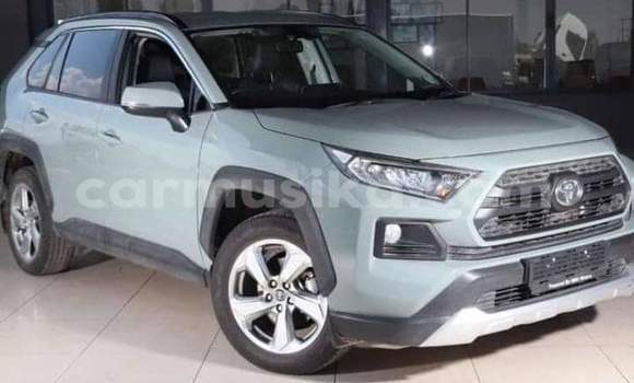 Buy Used Toyota RAV4 Other Car in Beitbridge in Matabeleland South Buy Used Toyota RAV4 Other Car in Beitbridge in Matabeleland South