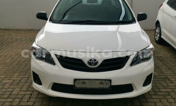 Nunua Ilio tumika Toyota Corolla Nyeupe Gari ndani ya Beitbridge nchini Matabeleland Kusini