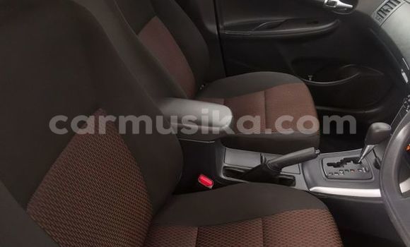 Buy Used Toyota Corolla White Car in Beitbridge in Matabeleland South Buy Used Toyota Corolla White Car in Beitbridge in Matabeleland South