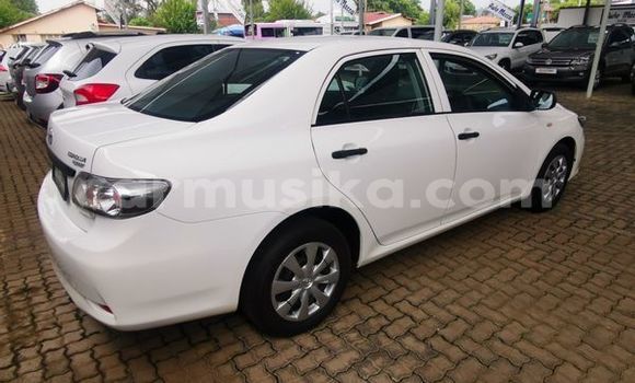 Buy Used Toyota Corolla White Car in Beitbridge in Matabeleland South Buy Used Toyota Corolla White Car in Beitbridge in Matabeleland South