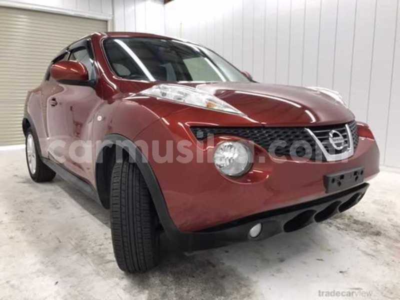 Big with watermark nissan juke matabeleland south beitbridge 23135