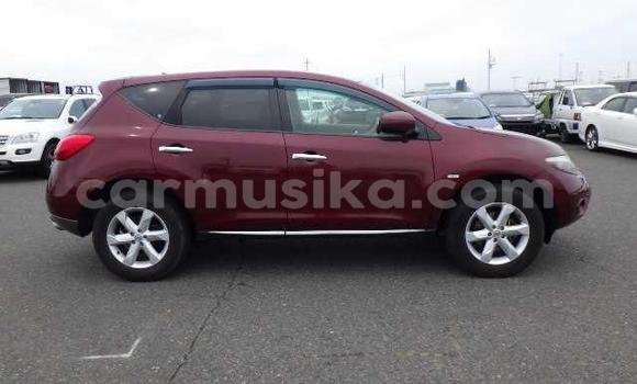 Tenga Tsaru Nissan Murano Tsvuku Mota in Beitbridge in Matabeleland South Tenga Tsaru Nissan Murano Tsvuku Mota in Beitbridge in Matabeleland South