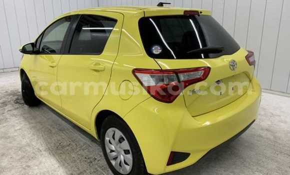 Acheter Occasion Voiture Toyota Vitz Beige à Beitbridge, Matabeleland South Acheter Occasion Voiture Toyota Vitz Beige à Beitbridge, Matabeleland South