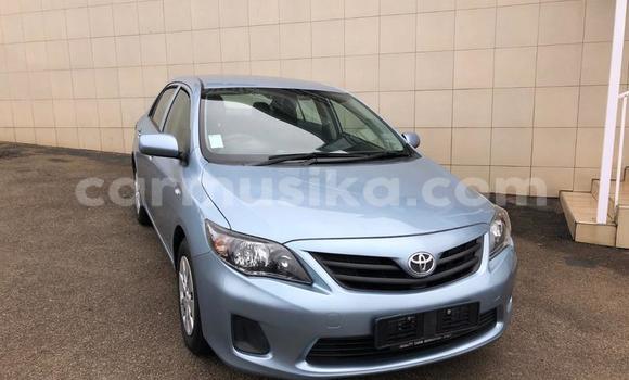 Tenga Tsaru Toyota Corolla Sirivha Mota in Harare in Harare