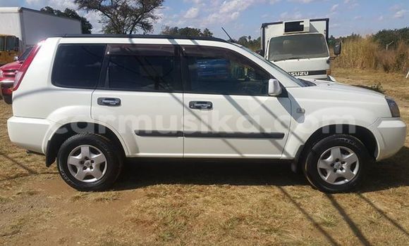 Nunua Ilio tumika Nissan X–Trail Nyeupe Gari ndani ya Alexandra Park nchini Harare