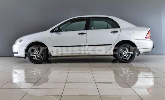 Buy Used Toyota Corolla Silver Car in Beitbridge in Matabeleland South Buy Used Toyota Corolla Silver Car in Beitbridge in Matabeleland South