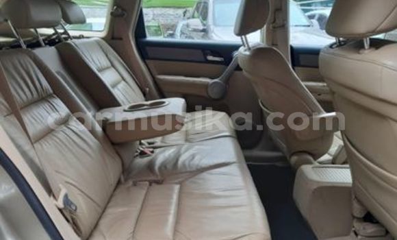 Buy Used Honda CR–V Other Car in Beitbridge in Matabeleland South Buy Used Honda CR–V Other Car in Beitbridge in Matabeleland South