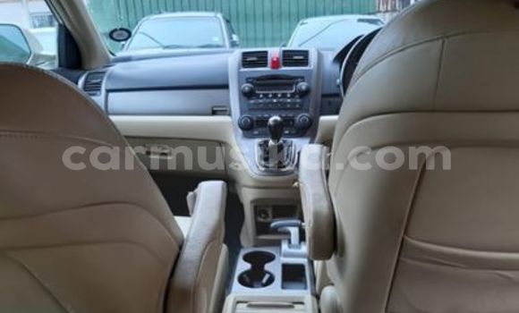 Buy Used Honda CR–V Other Car in Beitbridge in Matabeleland South Buy Used Honda CR–V Other Car in Beitbridge in Matabeleland South