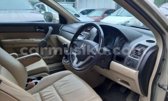 Buy Used Honda CR–V Other Car in Beitbridge in Matabeleland South Buy Used Honda CR–V Other Car in Beitbridge in Matabeleland South