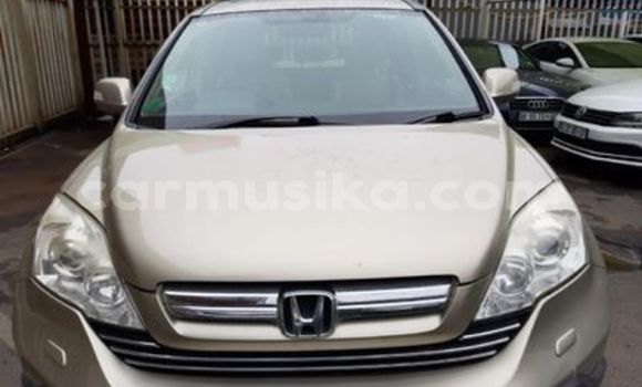 Buy Used Honda CR–V Other Car in Beitbridge in Matabeleland South Buy Used Honda CR–V Other Car in Beitbridge in Matabeleland South