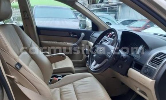 Buy Used Toyota Corolla White Car in Harare in Harare Buy Used Toyota Corolla White Car in Harare in Harare