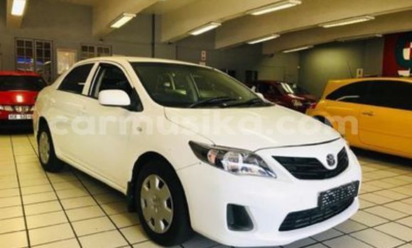 Buy Used Toyota Allex White Car in Harare in Harare Buy Used Toyota Allex White Car in Harare in Harare