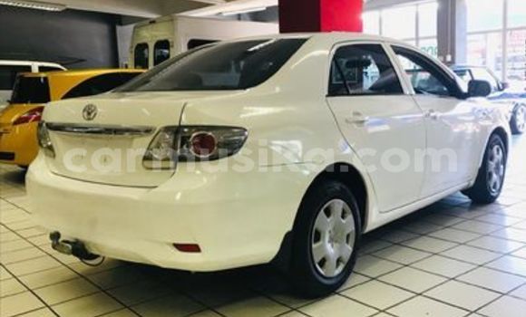 Buy Used Toyota Allex White Car in Harare in Harare Buy Used Toyota Allex White Car in Harare in Harare