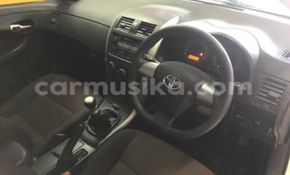 Buy Used Toyota Allex White Car in Harare in Harare Buy Used Toyota Allex White Car in Harare in Harare