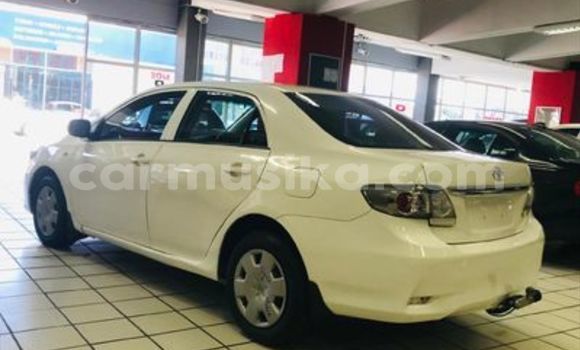 Buy Used Toyota Allex White Car in Harare in Harare Buy Used Toyota Allex White Car in Harare in Harare