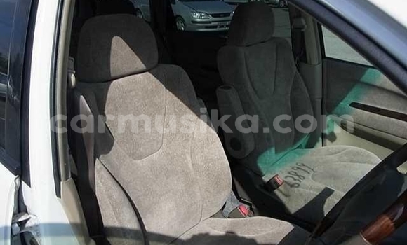 Buy Used Toyota Gaia White Car in Beitbridge in Matabeleland South Buy Used Toyota Gaia White Car in Beitbridge in Matabeleland South