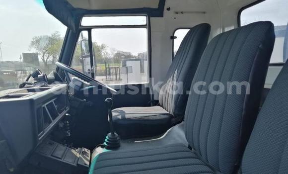 Tenga Tsaru Nissan UD Zvimwe Rori in Beitbridge in Matabeleland South Tenga Tsaru Nissan UD Zvimwe Rori in Beitbridge in Matabeleland South