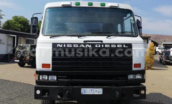 Tenga Tsaru Nissan UD Zvimwe Rori in Beitbridge in Matabeleland South Tenga Tsaru Nissan UD Zvimwe Rori in Beitbridge in Matabeleland South