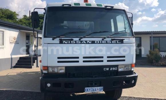 Tenga Tsaru Nissan UD Zvimwe Rori in Beitbridge in Matabeleland South Tenga Tsaru Nissan UD Zvimwe Rori in Beitbridge in Matabeleland South