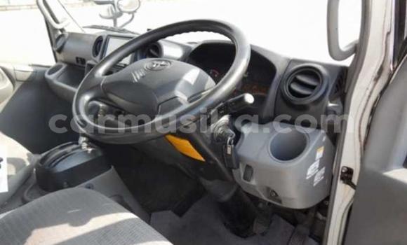 Nunua Ilio tumika Toyota Dyna Nyeupe Lori ndani ya Beitbridge nchini Matabeleland Kusini Nunua Ilio tumika Toyota Dyna Nyeupe Lori ndani ya Beitbridge nchini Matabeleland Kusini