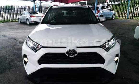 Buy Used Toyota RAV4 White Car in Beitbridge in Matabeleland South Buy Used Toyota RAV4 White Car in Beitbridge in Matabeleland South