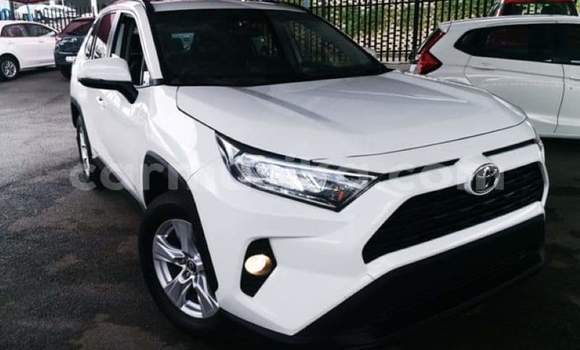 Acheter Occasion Voiture Toyota RAV4 Blanc à Beitbridge, Matabeleland South Acheter Occasion Voiture Toyota RAV4 Blanc à Beitbridge, Matabeleland South