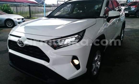 Acheter Occasion Voiture Toyota RAV4 Blanc à Beitbridge, Matabeleland South Acheter Occasion Voiture Toyota RAV4 Blanc à Beitbridge, Matabeleland South