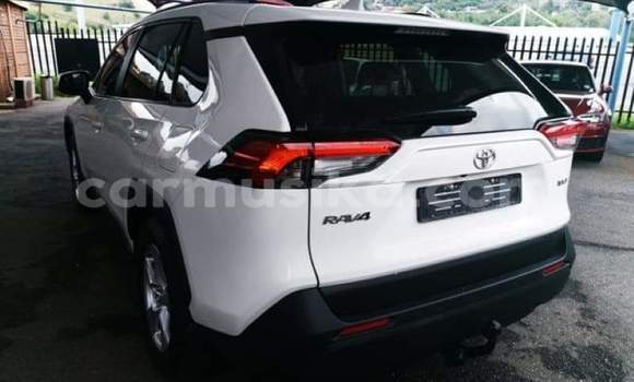 Acheter Occasion Voiture Toyota RAV4 Blanc à Beitbridge, Matabeleland South Acheter Occasion Voiture Toyota RAV4 Blanc à Beitbridge, Matabeleland South