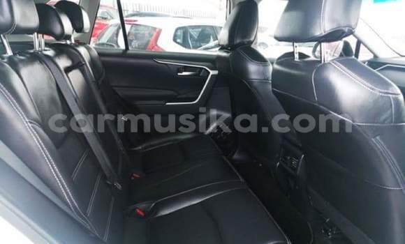 Acheter Occasion Voiture Toyota RAV4 Blanc à Beitbridge, Matabeleland South Acheter Occasion Voiture Toyota RAV4 Blanc à Beitbridge, Matabeleland South