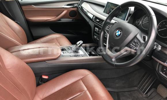 Tenga Tsaru BMW X5 Chena Mota in Beitbridge in Matabeleland South Tenga Tsaru BMW X5 Chena Mota in Beitbridge in Matabeleland South