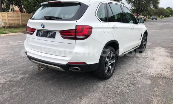 Tenga Tsaru BMW X5 Chena Mota in Beitbridge in Matabeleland South Tenga Tsaru BMW X5 Chena Mota in Beitbridge in Matabeleland South