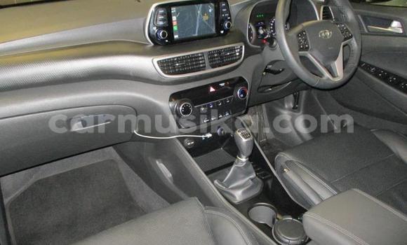 Tenga Tsaru Hyundai Tucson Sirivha Mota in Harare in Harare Tenga Tsaru Hyundai Tucson Sirivha Mota in Harare in Harare