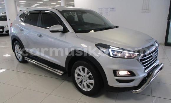 Tenga Tsaru Hyundai Tucson Sirivha Mota in Harare in Harare Tenga Tsaru Hyundai Tucson Sirivha Mota in Harare in Harare