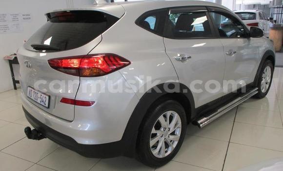Tenga Tsaru Hyundai Tucson Sirivha Mota in Harare in Harare Tenga Tsaru Hyundai Tucson Sirivha Mota in Harare in Harare