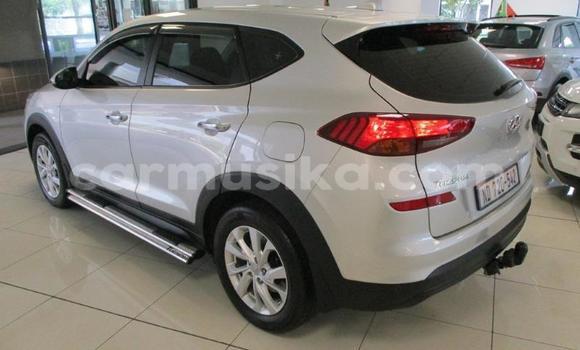 Tenga Tsaru Hyundai Tucson Sirivha Mota in Harare in Harare Tenga Tsaru Hyundai Tucson Sirivha Mota in Harare in Harare