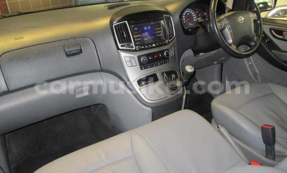 Tenga Tsaru Hyundai H1 Chena Mota in Harare in Harare Tenga Tsaru Hyundai H1 Chena Mota in Harare in Harare