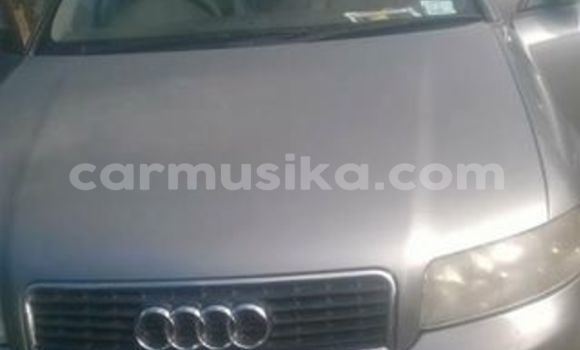 Tenga Tsaru Audi A4 Sirivha Mota in Alexandra Park in Harare Tenga Tsaru Audi A4 Sirivha Mota in Alexandra Park in Harare