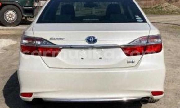 Tenga Tsaru Toyota Camry Chena Mota in Beitbridge in Matabeleland South Tenga Tsaru Toyota Camry Chena Mota in Beitbridge in Matabeleland South